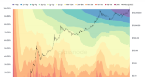 Серфинг по HODL-волнам: обзор 2020 года