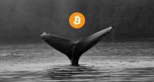 Криптокит, биткоин