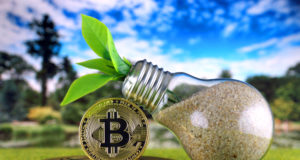 Биткоин, монеты, природа, зеленая энергия