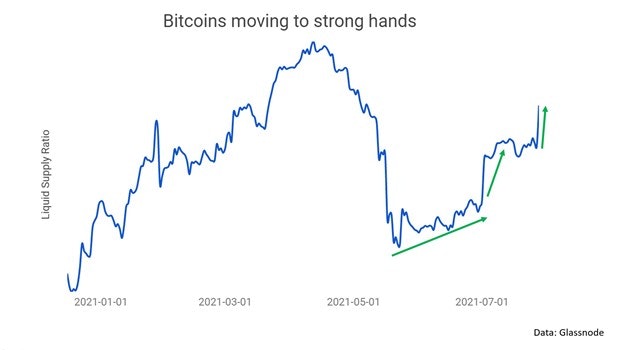 Развитие сжатия предложения — Ончейн-пульс от 31 июля 2021