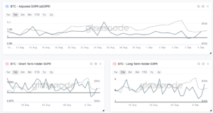 Структура рынка в свете последних событий — Ончейн-пульс от 11 сентября 2021