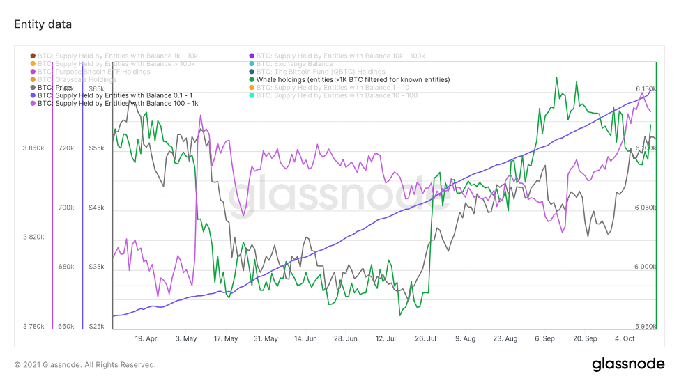 На краю успеха — Ончейн-пульс от 16 октября 2021