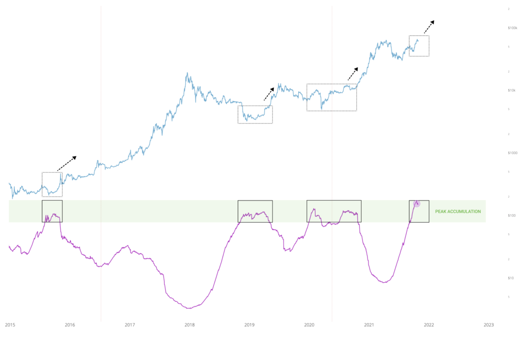 Охлаждение FOMO | ончейн-прогноз