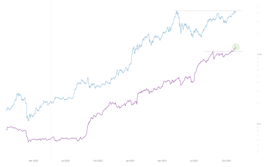 Охлаждение FOMO | ончейн-прогноз