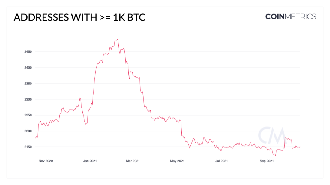 Бычьи сигналы в блокчейн-показателях на фоне оптимизма вокруг ETF