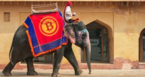 Индия, слон, биткоин