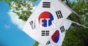 Флаг Южной Кореи, NFT, небо, дерево