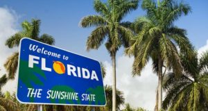 Флорида, пальмы