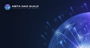Meta DAO Guild