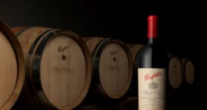 Вино, бутылки, бочки